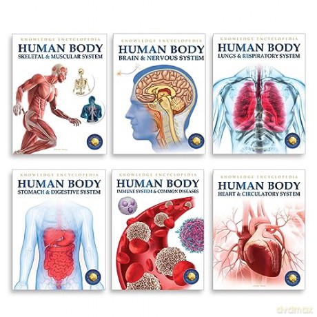 Human Body Box Set: Knowledge Encyclopedia For Children [KSIĄŻKA]