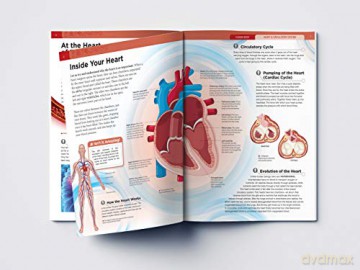 Human Body Box Set: Knowledge Encyclopedia For Children [KSIĄŻKA]