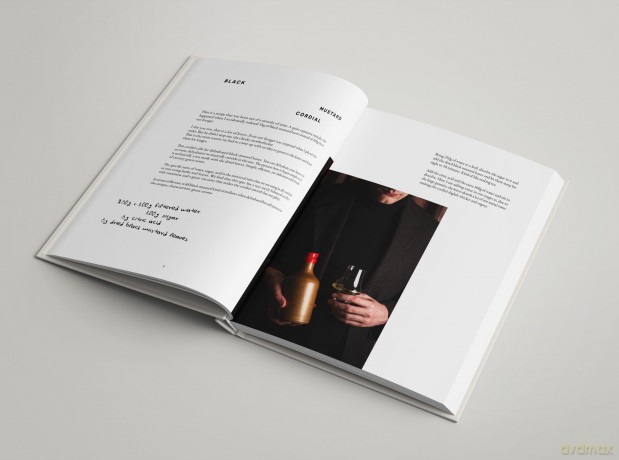 HYPER drinks | A personal journal of cocktail recipes showcasing HYPER seasonal, HYPER local produce made with HYPER simple techniques. - Angelos Bafas [KSIĄŻKA]