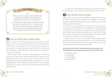 I Love Disneyland: 100+ Surprising Facts, Fun Quizzes, Fan-Favorite Trivia, and More about Disneyland! (I Love Disney Gift Book Series) - Ry Castles [KSIĄŻKA]