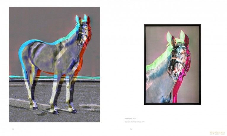 Inner Light: The Portraiture of Chris Levine - Helen Chislett [KSIĄŻKA]