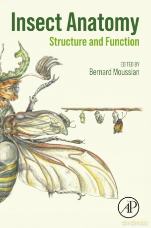 Insect Anatomy: Structure and Function - Moussian [KSIĄŻKA]