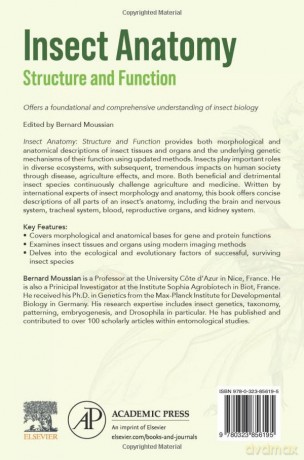 Insect Anatomy: Structure and Function - Moussian [KSIĄŻKA]