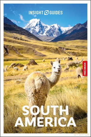 Insight Guides South America: Travel Guide with eBook (Insight Guides Main Series) - Insight Guides [KSIĄŻKA]