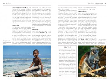 Insight Guides Tanzania and Zanzibar: Travel Guide with eBook (Insight Guides Main Series) - Insight Guides [KSIĄŻKA]