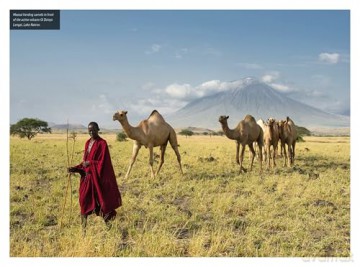 Insight Guides Tanzania and Zanzibar: Travel Guide with eBook (Insight Guides Main Series) - Insight Guides [KSIĄŻKA]
