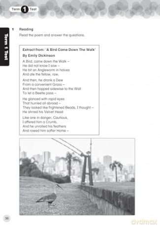 International Primary English Progress Book Student's Book: Stage 5 (Collins International Primary English) - Daphne Paizee [KSIĄŻKA]
