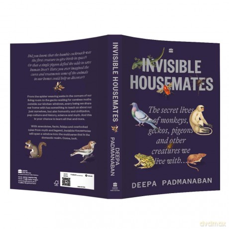 Invisible Housemates - Deepa Padmanaban [KSIĄŻKA]
