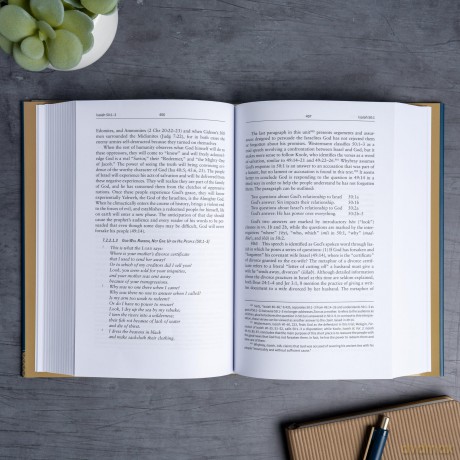 Isaiah 40-66: The Christian Standard Commentary - Gary V. Smith [KSIĄŻKA]