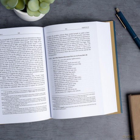 Isaiah 40-66: The Christian Standard Commentary - Gary V. Smith [KSIĄŻKA]