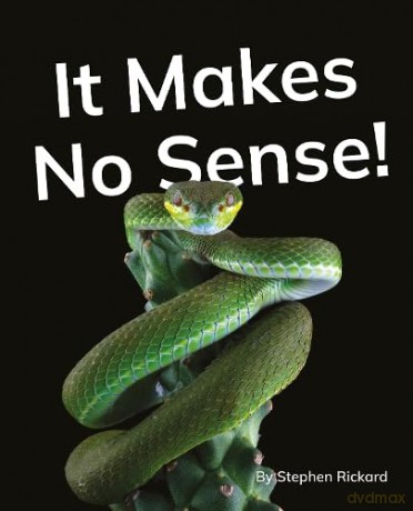 It Makes No Sense!: Phonics Phase 5 (Reading Stars Achieve Phonics) [KSIĄŻKA]