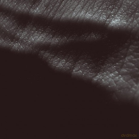 Jk Flesh: Posthuman [CD]