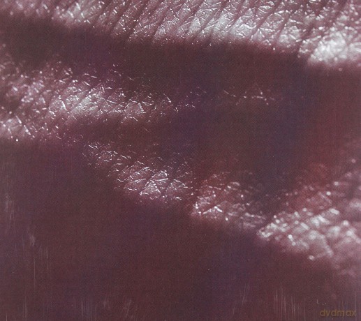Jk Flesh: Posthuman [CD]