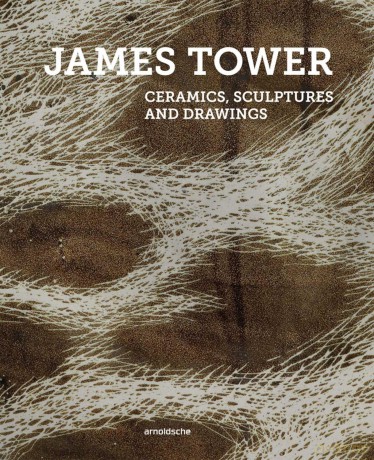 James Tower: Ceramics, Sculptures and Drawings - Edited by Timothy Wilcox [KSIĄŻKA]