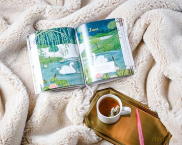 Jesus Listens: Prayers for Every Season (NEW for 2025): A 365-Day Illustrated Prayer Book - The Perfect Christian New Year's Resolution Gift - Sarah Young [KSIĄŻKA]