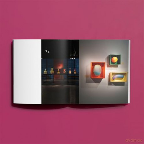 Jinya Zhao: Holding Air, Holding Light (Hurtwood Contemporary Artist Series) - Jinya Zhao [KSIĄŻKA]