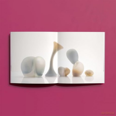 Jinya Zhao: Holding Air, Holding Light (Hurtwood Contemporary Artist Series) - Jinya Zhao [KSIĄŻKA]