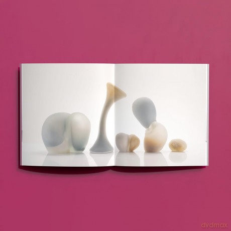 Jinya Zhao: Holding Air, Holding Light (Hurtwood Contemporary Artist Series) - Jinya Zhao [KSIĄŻKA]