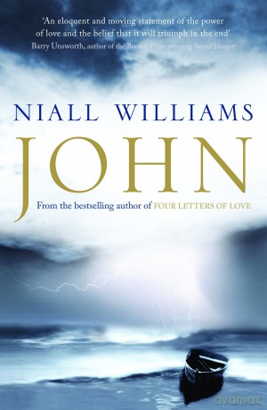 John - Niall Williams [KSIĄŻKA]