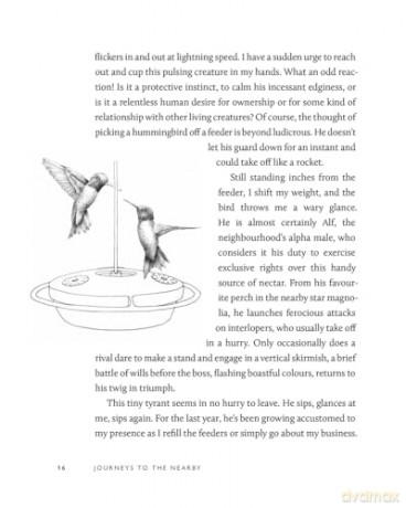 Journeys to the Nearby: A Gardener Discovers the Gentle Art of Untravelling - Elspeth Bradbury [KSIĄŻKA]