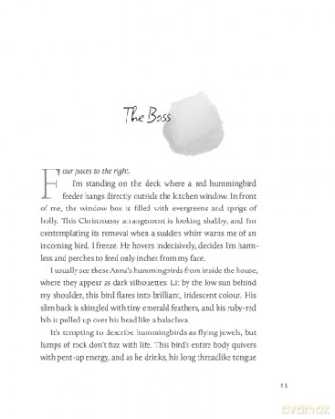 Journeys to the Nearby: A Gardener Discovers the Gentle Art of Untravelling - Elspeth Bradbury [KSIĄŻKA]
