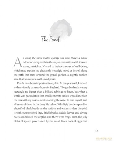 Journeys to the Nearby: A Gardener Discovers the Gentle Art of Untravelling - Elspeth Bradbury [KSIĄŻKA]