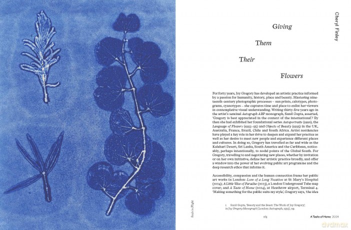 Joy Gregory: Catching Flies With Honey - Gilane Tawadros [KSIĄŻKA]