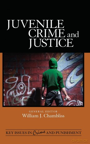 Juvenile Crime and Justice: 5 (Key Issues in Crime and Punishment) - William J. Chambliss [KSIĄŻKA]