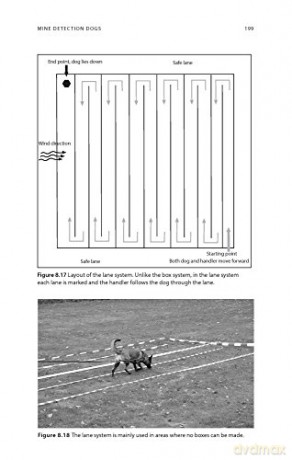K9 Explosive and Mine Detection: A Manual for Training and Operations (K9 Professional Training) - Resi Gerritsen [KSIĄŻKA]