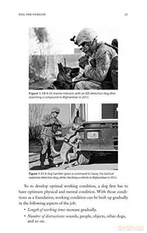 K9 Explosive and Mine Detection: A Manual for Training and Operations (K9 Professional Training) - Resi Gerritsen [KSIĄŻKA]