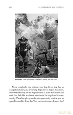 K9 Explosive and Mine Detection: A Manual for Training and Operations (K9 Professional Training) - Resi Gerritsen [KSIĄŻKA]