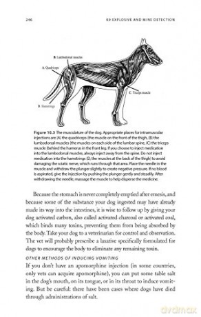 K9 Explosive and Mine Detection: A Manual for Training and Operations (K9 Professional Training) - Resi Gerritsen [KSIĄŻKA]