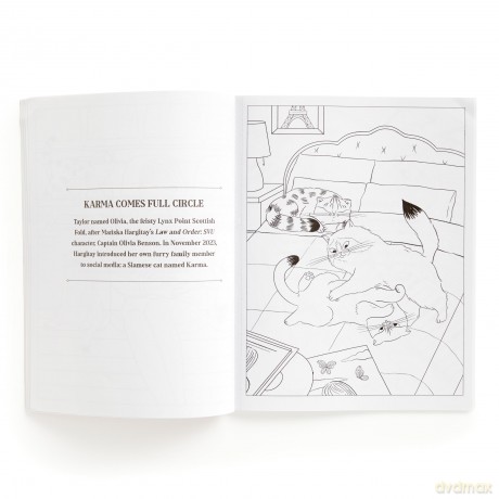 Karma is Three Cats Coloring Book - Mudpuppy [KSIĄŻKA]