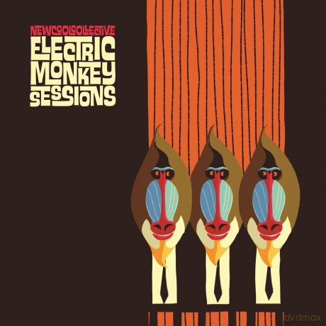 New Cool Collective: Electric Monkey Sessions [Winyl]