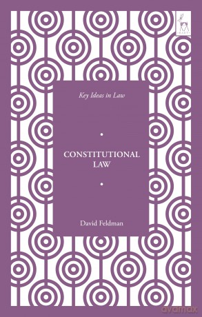Key Ideas in Constitutional Law (Key Ideas in Law) - David Feldman [KSIĄŻKA]