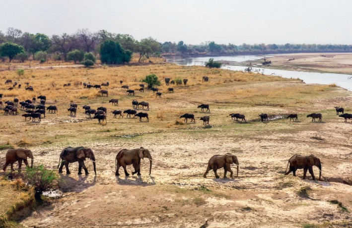 Kingdom: Accompanying the landmark BBC series: Every family has its pride - Will Millard [KSIĄŻKA]