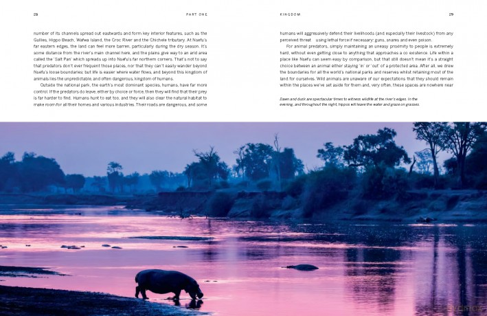 Kingdom: Accompanying the landmark BBC series: Every family has its pride - Will Millard [KSIĄŻKA]