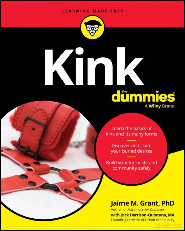 Kink For Dummies - Jaime M. Grant [KSIĄŻKA]