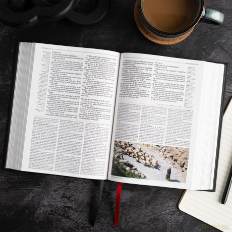 KJV Study Bible, Personal Size Edition, Black Cloth Over Board [KSIĄŻKA]