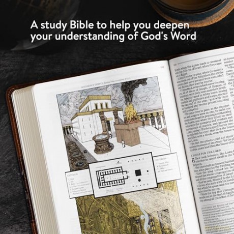 KJV Study Bible, Personal Size Edition, Rose Gold LeatherTouch [KSIĄŻKA]