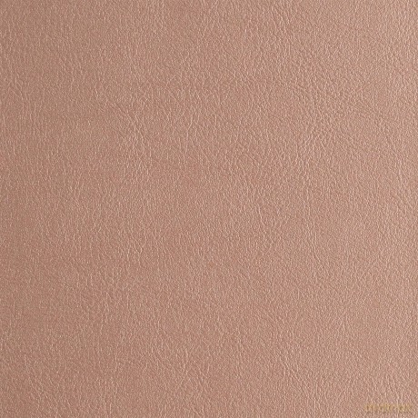KJV Study Bible, Personal Size Edition, Rose Gold LeatherTouch [KSIĄŻKA]