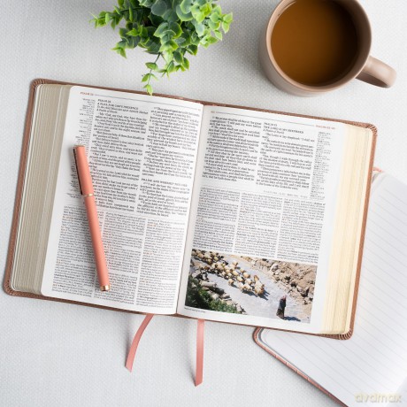 KJV Study Bible, Personal Size Edition, Rose Gold LeatherTouch [KSIĄŻKA]