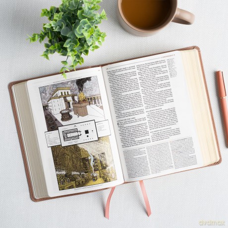 KJV Study Bible, Personal Size Edition, Rose Gold LeatherTouch [KSIĄŻKA]