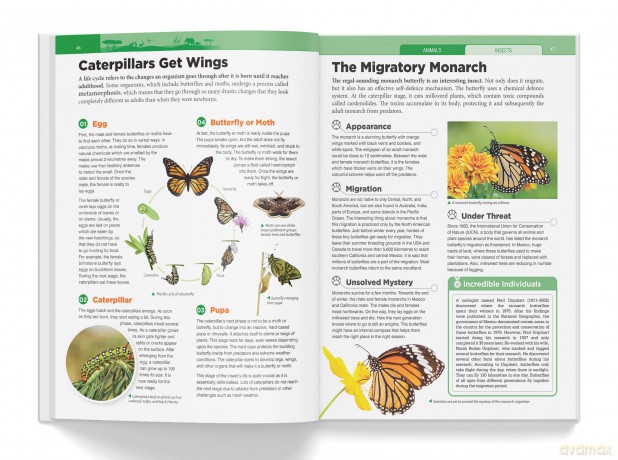 Knowledge Encyclopedia - Animals: Deluxe Edition (Knowledge Encyclopedia for Children) [KSIĄŻKA]