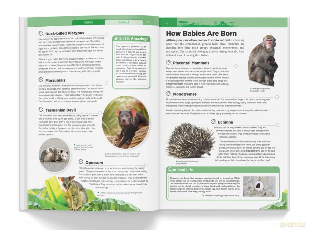 Knowledge Encyclopedia - Animals: Deluxe Edition (Knowledge Encyclopedia for Children) [KSIĄŻKA]