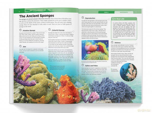 Knowledge Encyclopedia - Animals: Deluxe Edition (Knowledge Encyclopedia for Children) [KSIĄŻKA]