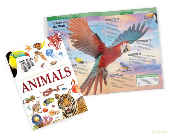 Knowledge Encyclopedia - Boxset of 8 Books for Children (Knowledge Encyclopedia for Children) [KSIĄŻKA]