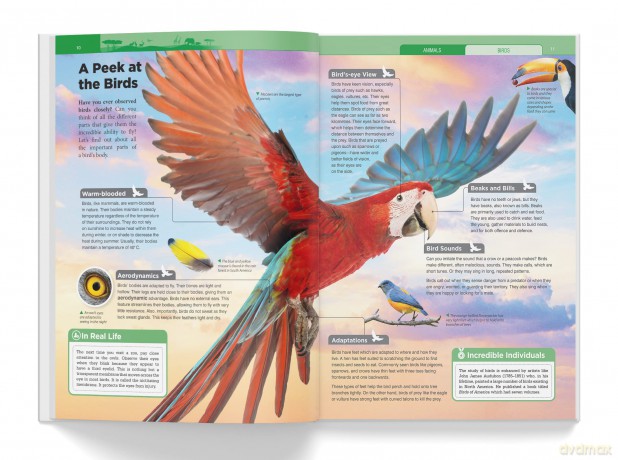 Knowledge Encyclopedia - Boxset of 8 Books for Children (Knowledge Encyclopedia for Children) [KSIĄŻKA]