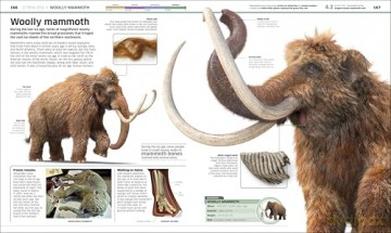 Knowledge Encyclopedia Dinosaur! (DK Knowledge Encyclopedias) - Dk [KSIĄŻKA]