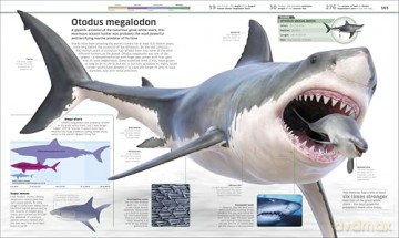 Knowledge Encyclopedia Dinosaur! (DK Knowledge Encyclopedias) - Dk [KSIĄŻKA]